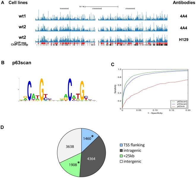 https://cdn.ncbi.nlm.nih.gov/pmc/blobs/bf67/2924305/896c2c727e96/pgen.1001065.g001.jpg