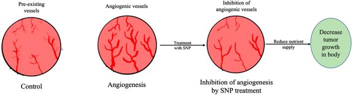 https://cdn.ncbi.nlm.nih.gov/pmc/blobs/bf68/10803431/be1ca57720d6/fbioe-11-1324805-g006.jpg