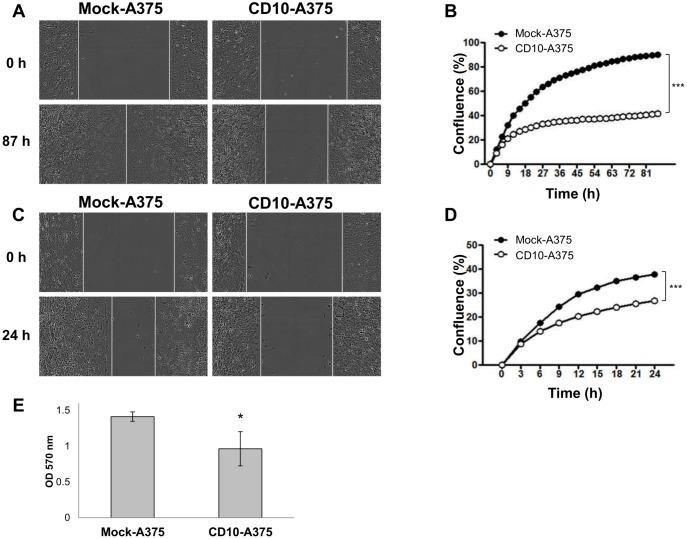 https://cdn.ncbi.nlm.nih.gov/pmc/blobs/bf69/4755541/266b84b1d21c/pone.0149285.g003.jpg