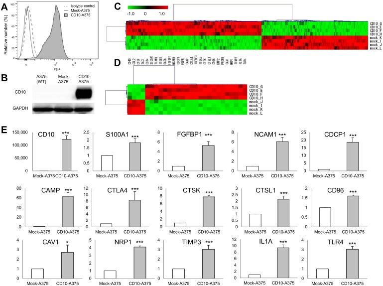 https://cdn.ncbi.nlm.nih.gov/pmc/blobs/bf69/4755541/5f713ff75383/pone.0149285.g001.jpg