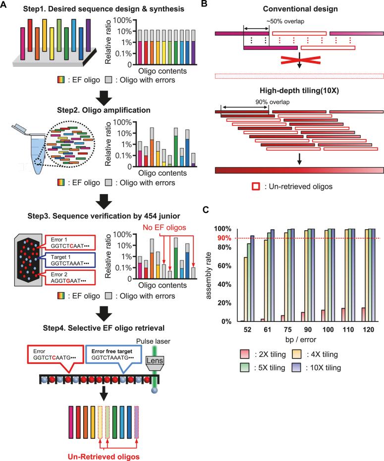 https://cdn.ncbi.nlm.nih.gov/pmc/blobs/bf6a/5961255/cd7e5d0bb3f9/gky112fig1.jpg