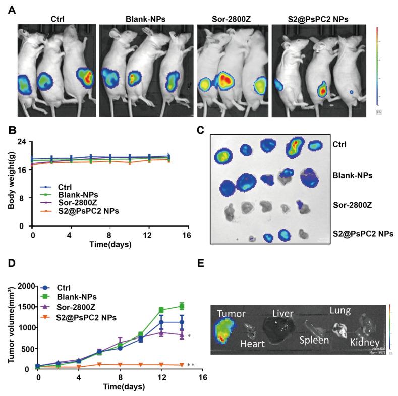 https://cdn.ncbi.nlm.nih.gov/pmc/blobs/bf6a/9865580/036d08a9f929/pharmaceuticals-16-00119-g006.jpg