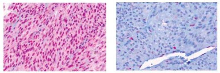 https://cdn.ncbi.nlm.nih.gov/pmc/blobs/bf6b/7795687/d146c167d05e/ijms-22-00336-g006.jpg