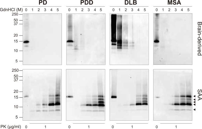 https://cdn.ncbi.nlm.nih.gov/pmc/blobs/bf6c/11588339/33959424d13c/elife-92775-fig3.jpg