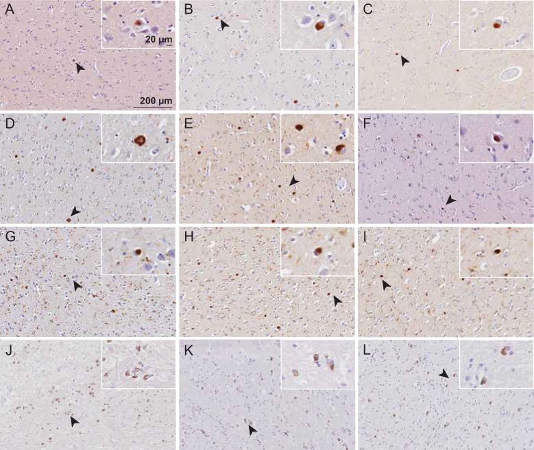 https://cdn.ncbi.nlm.nih.gov/pmc/blobs/bf6c/11588339/4b8a63a1a217/elife-92775-fig4-figsupp1.jpg