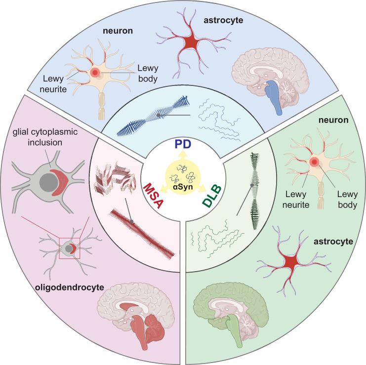 https://cdn.ncbi.nlm.nih.gov/pmc/blobs/bf6c/11588339/b214f407a3ab/elife-92775-fig1.jpg