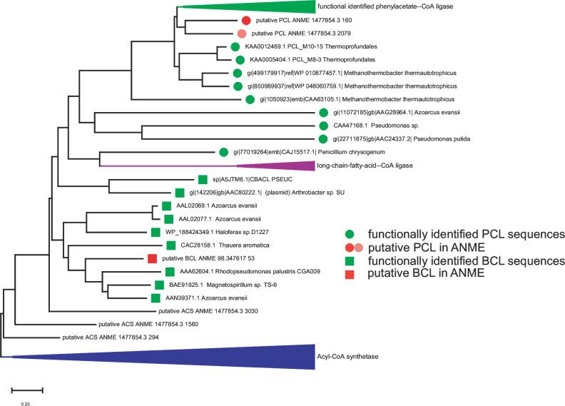 https://cdn.ncbi.nlm.nih.gov/pmc/blobs/bf6d/10581246/a741cf3b84ed/spectrum.01766-23.f002.jpg