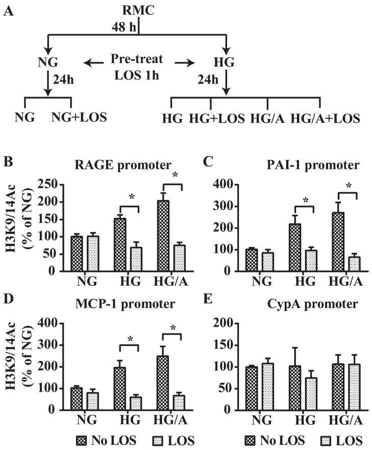 https://cdn.ncbi.nlm.nih.gov/pmc/blobs/bf6d/3946617/01899aaf7b68/nihms519854f8.jpg