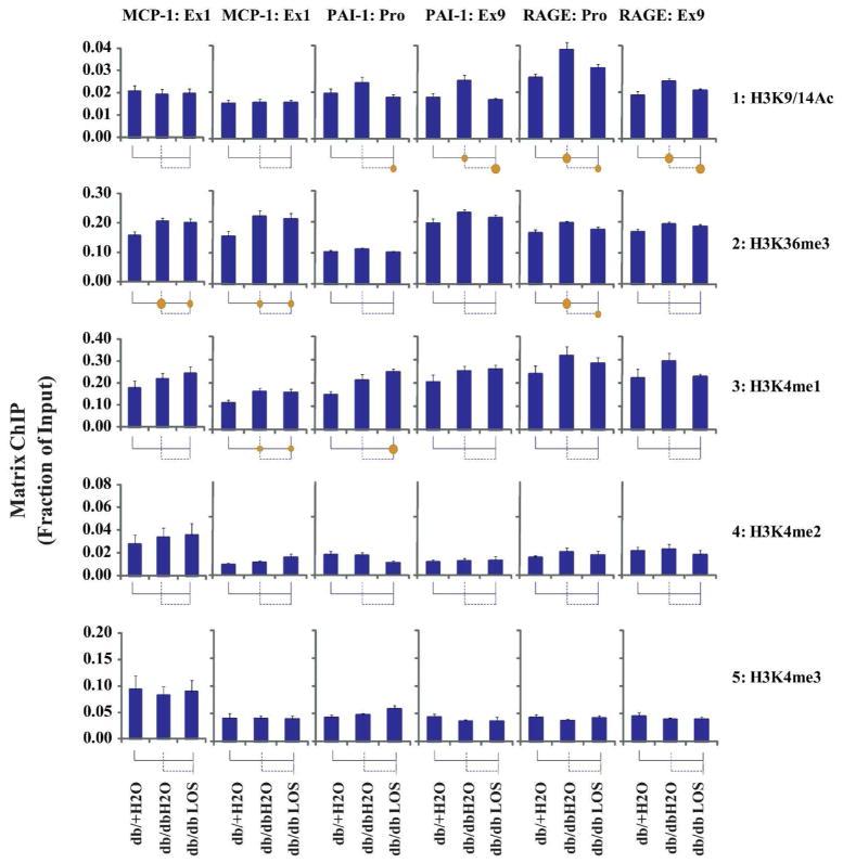 https://cdn.ncbi.nlm.nih.gov/pmc/blobs/bf6d/3946617/38c12a60c5cf/nihms519854f5.jpg