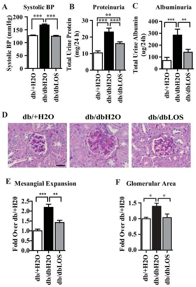 https://cdn.ncbi.nlm.nih.gov/pmc/blobs/bf6d/3946617/503929301636/nihms519854f2.jpg