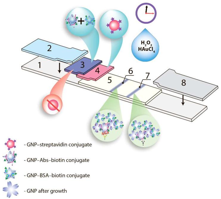 https://cdn.ncbi.nlm.nih.gov/pmc/blobs/bf6f/9775130/bbd132e80b35/biosensors-12-01166-g001.jpg