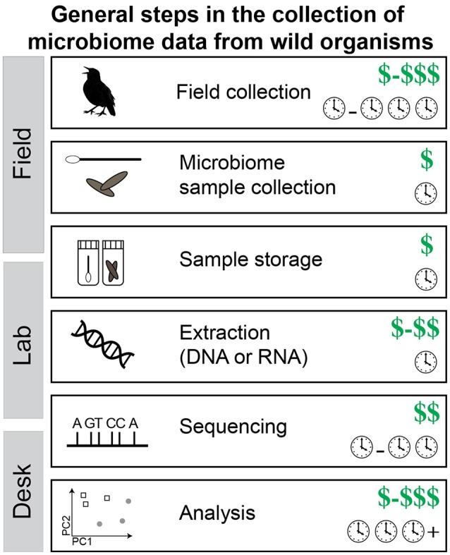https://cdn.ncbi.nlm.nih.gov/pmc/blobs/bf71/5404107/8035994b459b/fmicb-08-00725-g0003.jpg
