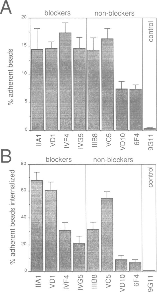 https://cdn.ncbi.nlm.nih.gov/pmc/blobs/bf72/413409/f9977019f90c/emboj00077-0164-a.jpg