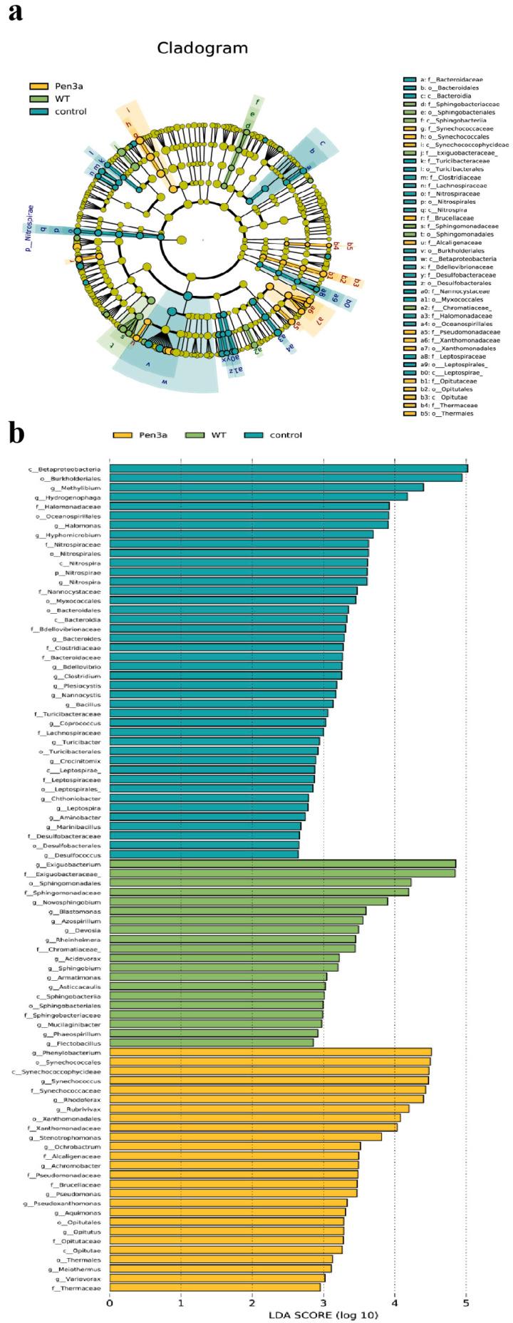 https://cdn.ncbi.nlm.nih.gov/pmc/blobs/bf74/10144588/c863514a6298/plants-12-01715-g004.jpg
