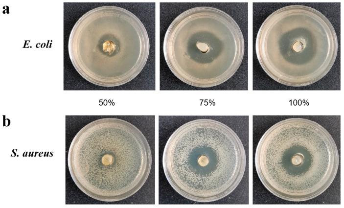 https://cdn.ncbi.nlm.nih.gov/pmc/blobs/bf74/10144588/d1dc71c0cb0c/plants-12-01715-g002.jpg