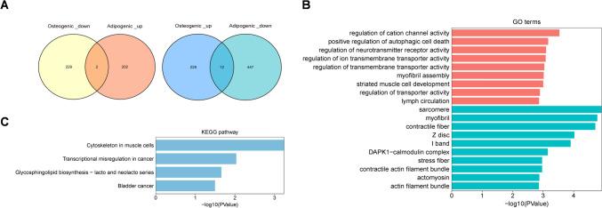 https://cdn.ncbi.nlm.nih.gov/pmc/blobs/bf76/12274243/05cae4b2011c/223_2025_1407_Fig3_HTML.jpg