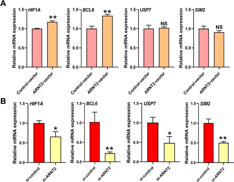 https://cdn.ncbi.nlm.nih.gov/pmc/blobs/bf76/12274243/1e1f8ce4894a/223_2025_1407_Fig8_HTML.jpg