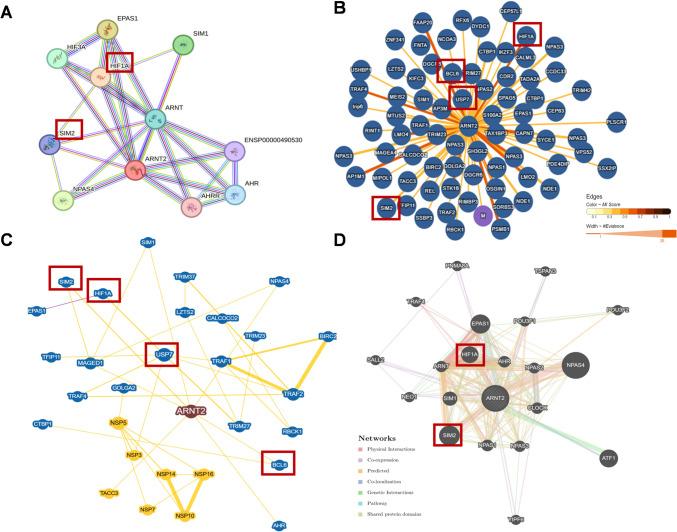 https://cdn.ncbi.nlm.nih.gov/pmc/blobs/bf76/12274243/c796ddc7b90d/223_2025_1407_Fig7_HTML.jpg