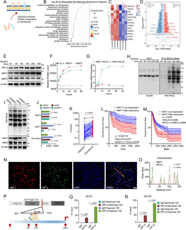 https://cdn.ncbi.nlm.nih.gov/pmc/blobs/bf77/12219335/1a02e49bf2fe/13046_2025_3438_Fig1_HTML.jpg