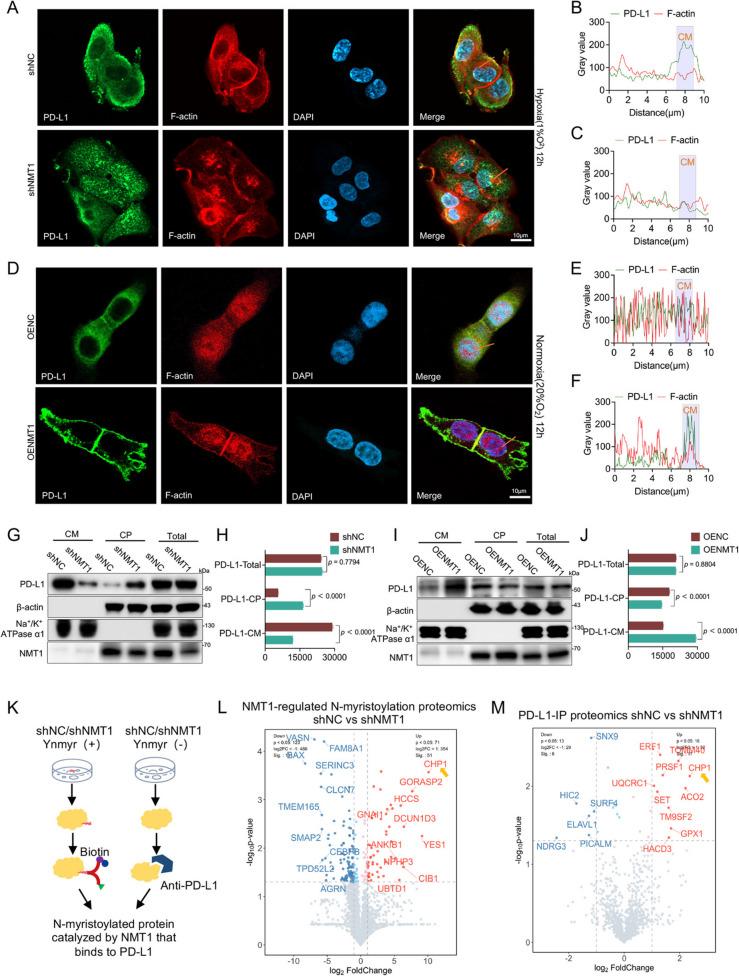 https://cdn.ncbi.nlm.nih.gov/pmc/blobs/bf77/12219335/333afa37a18f/13046_2025_3438_Fig4_HTML.jpg