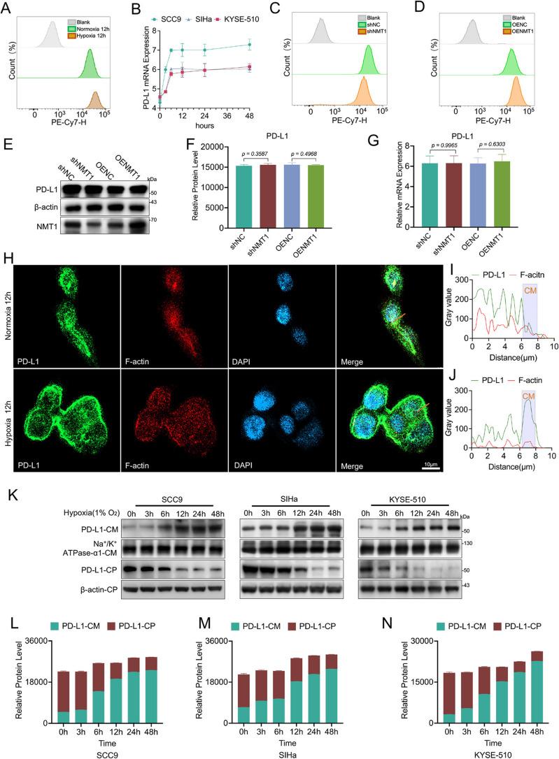 https://cdn.ncbi.nlm.nih.gov/pmc/blobs/bf77/12219335/5c6fd5aae1d2/13046_2025_3438_Fig3_HTML.jpg