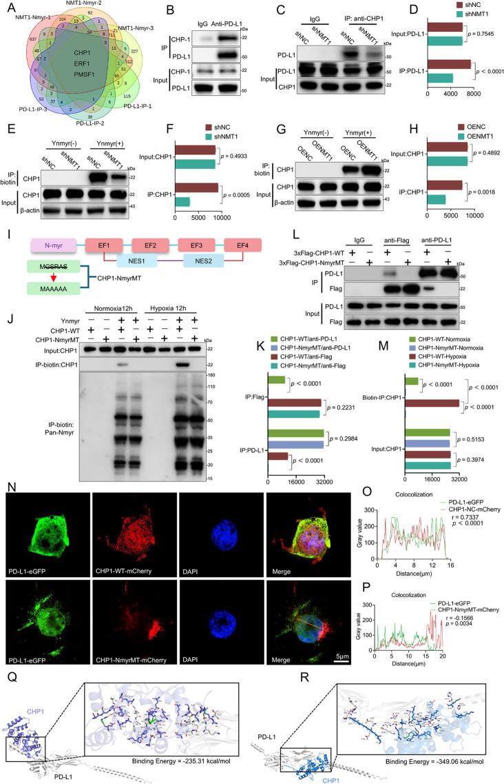 https://cdn.ncbi.nlm.nih.gov/pmc/blobs/bf77/12219335/77b2dfd6ffb1/13046_2025_3438_Fig5_HTML.jpg