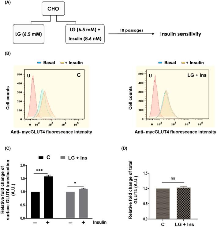 https://cdn.ncbi.nlm.nih.gov/pmc/blobs/bf78/11705401/733a2a7eb98b/FEB4-15-81-g008.jpg