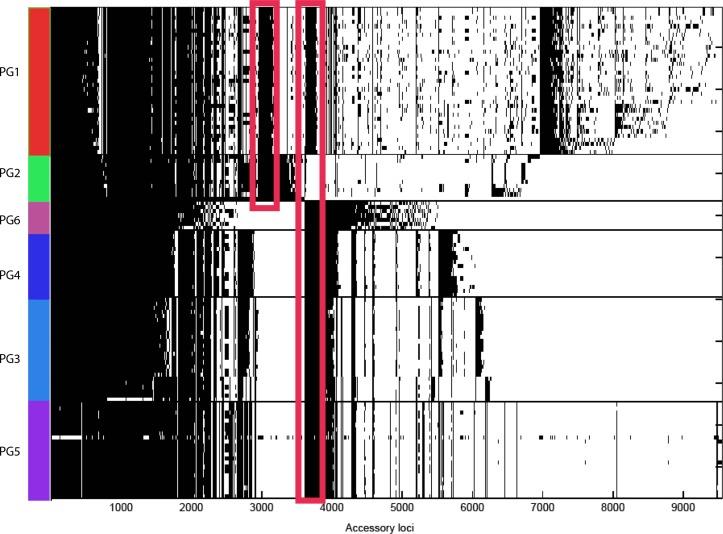 https://cdn.ncbi.nlm.nih.gov/pmc/blobs/bf78/5320568/01b083dae1fd/mgen-01-30-f003.jpg