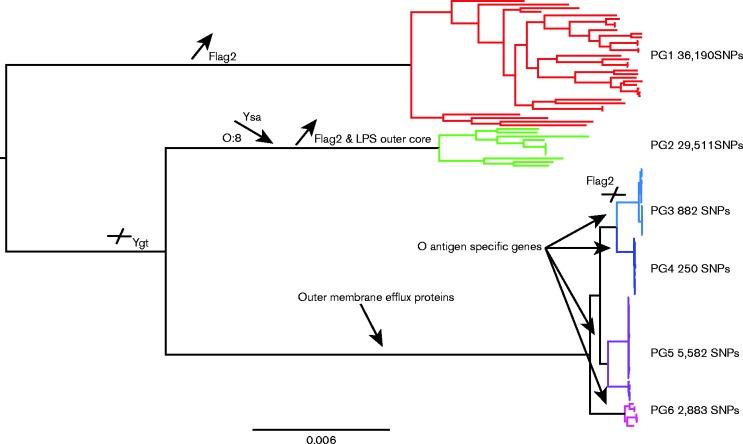 https://cdn.ncbi.nlm.nih.gov/pmc/blobs/bf78/5320568/94b5b26c0b27/mgen-01-30-f001.jpg