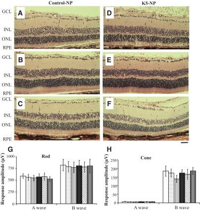 https://cdn.ncbi.nlm.nih.gov/pmc/blobs/bf79/2712783/4922c24a1170/zdb0080958050008.jpg