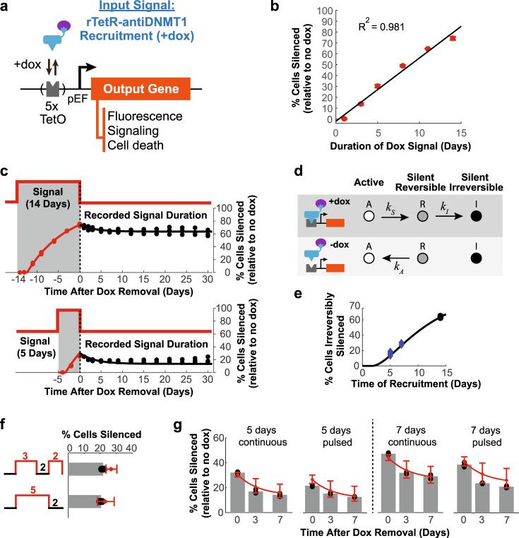 https://cdn.ncbi.nlm.nih.gov/pmc/blobs/bf7a/7822885/54bf911d6f94/41467_2020_20757_Fig4_HTML.jpg