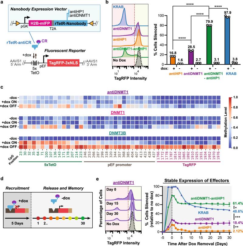 https://cdn.ncbi.nlm.nih.gov/pmc/blobs/bf7a/7822885/77231385332d/41467_2020_20757_Fig2_HTML.jpg