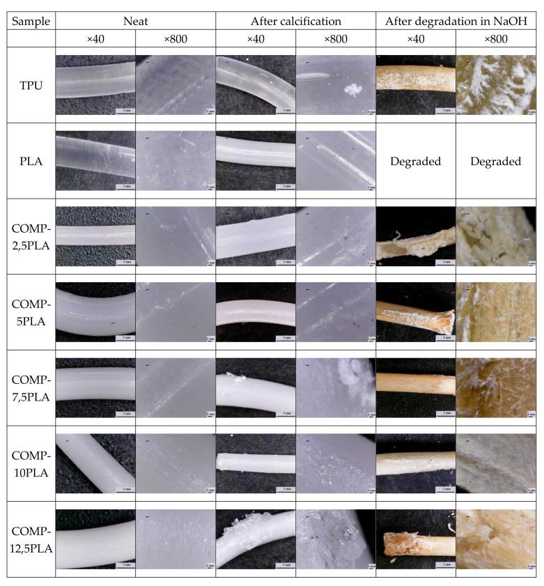 https://cdn.ncbi.nlm.nih.gov/pmc/blobs/bf7a/8538761/91c2a33abc7d/materials-14-06054-g009.jpg