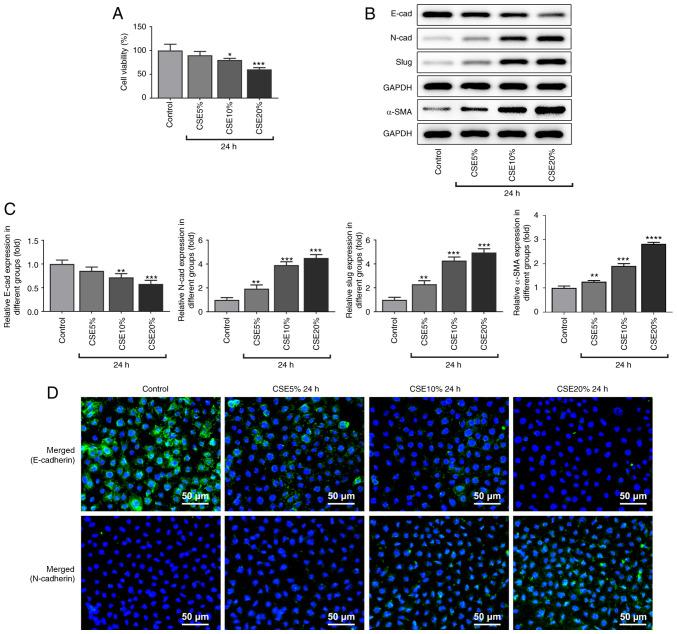 https://cdn.ncbi.nlm.nih.gov/pmc/blobs/bf7a/9019742/834af4f38e14/etm-23-05-11284-g00.jpg