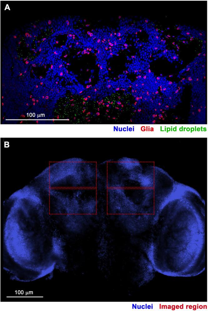 https://cdn.ncbi.nlm.nih.gov/pmc/blobs/bf7c/12431085/9233b57420c2/pone.0332333.g001.jpg