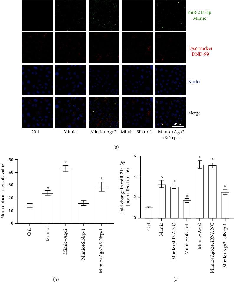https://cdn.ncbi.nlm.nih.gov/pmc/blobs/bf7d/7453242/399b46e473b6/BMRI2020-2370253.007.jpg