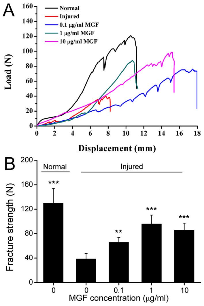 https://cdn.ncbi.nlm.nih.gov/pmc/blobs/bf81/9026312/3c86cd023070/ijms-23-04331-g008.jpg
