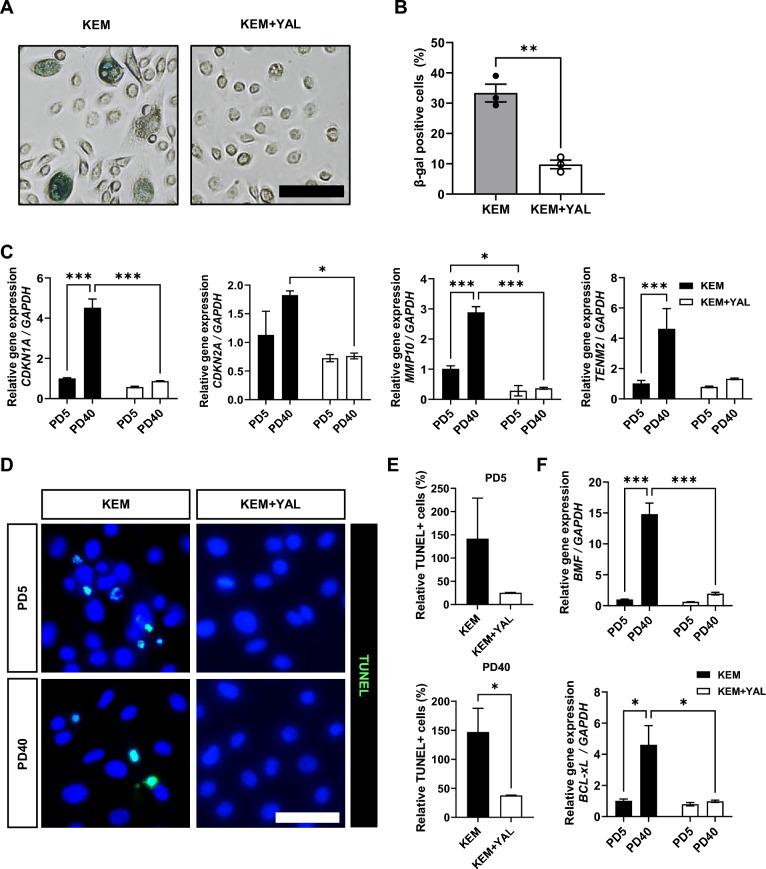 https://cdn.ncbi.nlm.nih.gov/pmc/blobs/bf83/12008940/4e2e790e039d/13287_2025_4295_Fig4_HTML.jpg