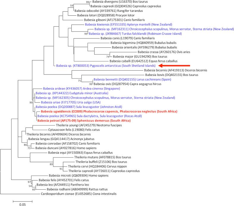 https://cdn.ncbi.nlm.nih.gov/pmc/blobs/bf83/5582639/b25d6e989b47/figs2.jpg