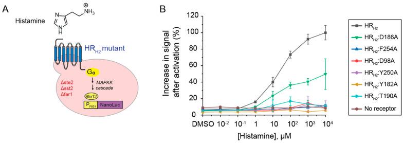 https://cdn.ncbi.nlm.nih.gov/pmc/blobs/bf84/10295836/3f306a6d84b4/biosensors-13-00571-g003.jpg