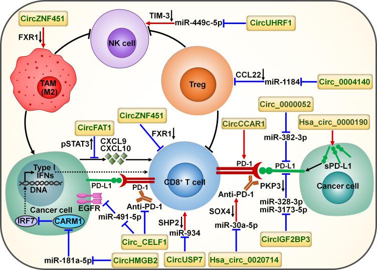 https://cdn.ncbi.nlm.nih.gov/pmc/blobs/bf85/10520974/2b3e1c820dd9/fimmu-14-1268745-g006.jpg