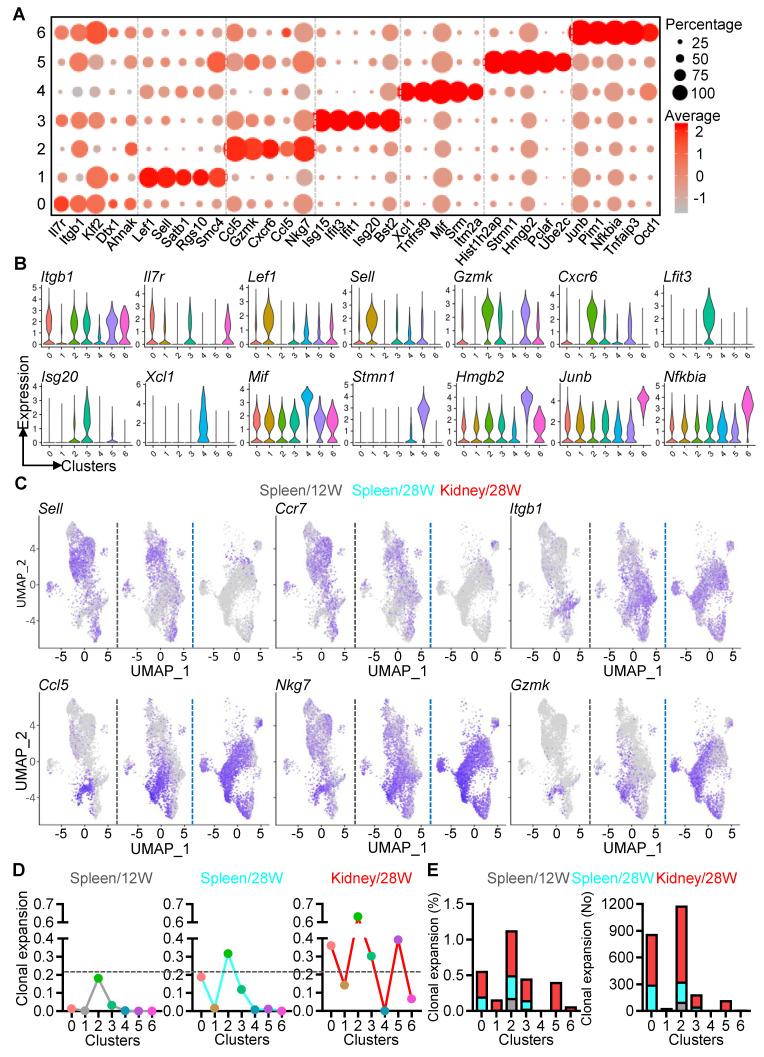 https://cdn.ncbi.nlm.nih.gov/pmc/blobs/bf85/12036892/78b4a40e744d/thnov15p5029g004.jpg