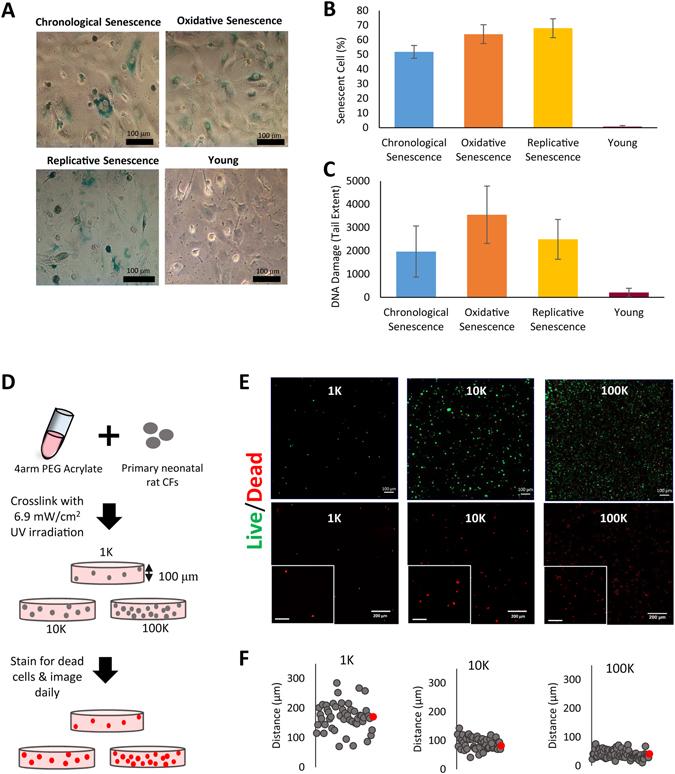https://cdn.ncbi.nlm.nih.gov/pmc/blobs/bf85/5506028/203e0900c65c/41598_2017_5098_Fig1_HTML.jpg