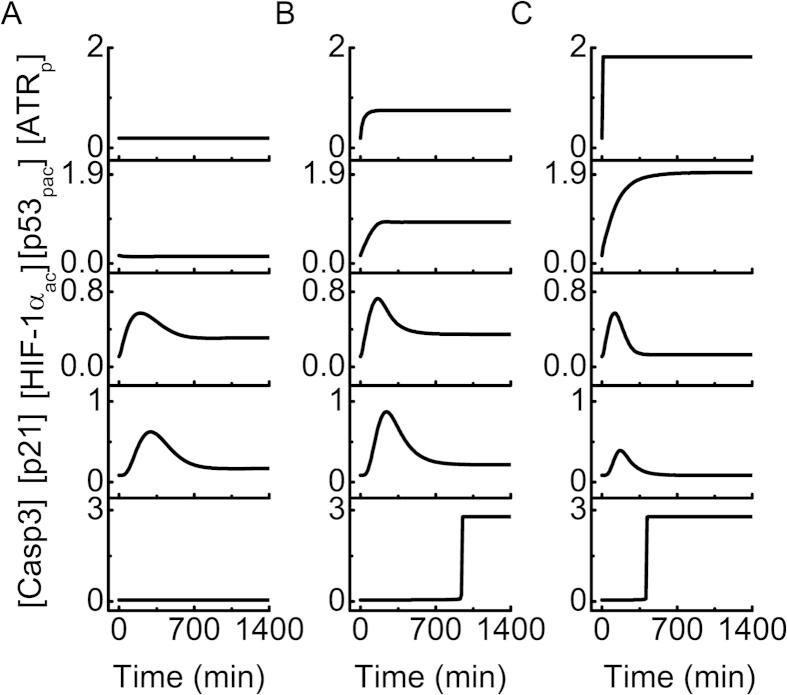 https://cdn.ncbi.nlm.nih.gov/pmc/blobs/bf89/4561886/6b0b156c720f/srep13834-f2.jpg