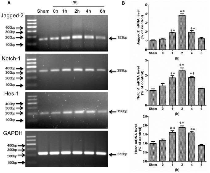 https://cdn.ncbi.nlm.nih.gov/pmc/blobs/bf8d/3789708/c419a141b27d/pone.0076274.g002.jpg