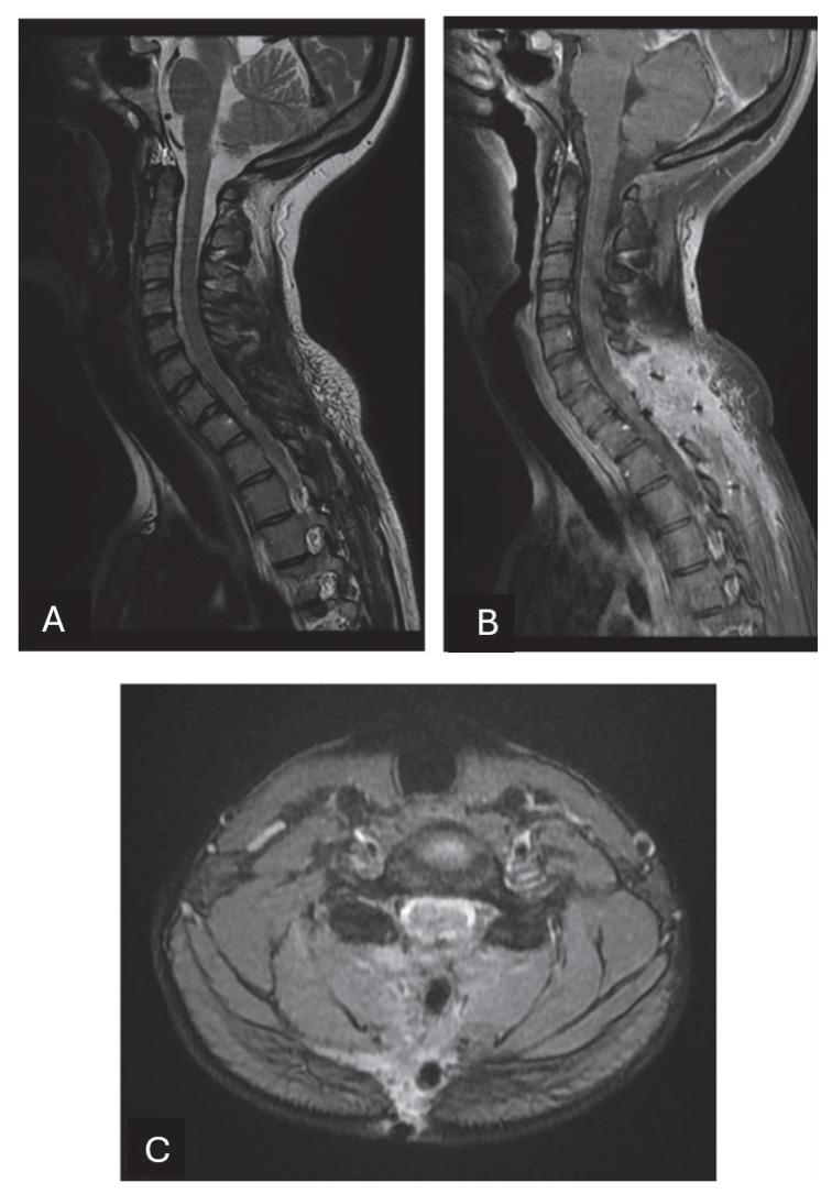 https://cdn.ncbi.nlm.nih.gov/pmc/blobs/bf8e/12195715/503c46d0ffb7/neurosci-06-00049-g003.jpg