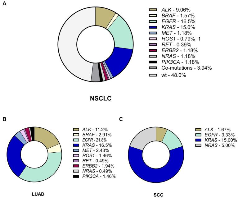 https://cdn.ncbi.nlm.nih.gov/pmc/blobs/bf8f/12345293/0411dd48b9bf/fmed-12-1558016-g001.jpg