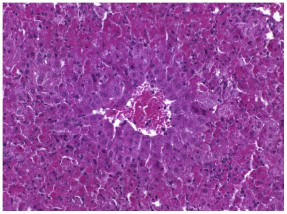 https://cdn.ncbi.nlm.nih.gov/pmc/blobs/bf8f/3391294/da079ff38e1a/pone.0040380.g003.jpg