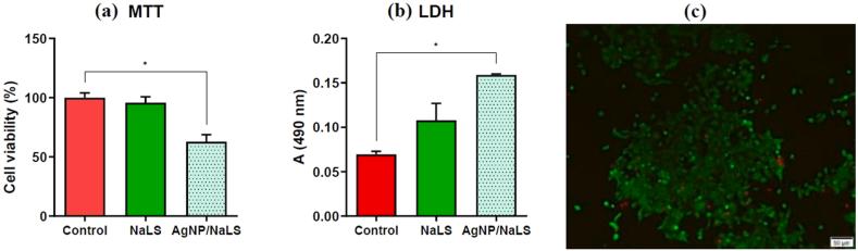 https://cdn.ncbi.nlm.nih.gov/pmc/blobs/bf90/10878957/0e1e4a6580ff/gr17.jpg