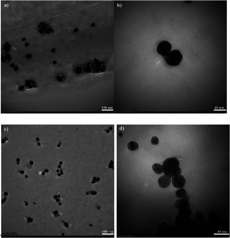 https://cdn.ncbi.nlm.nih.gov/pmc/blobs/bf90/10878957/b528ba0c31e7/gr6.jpg